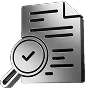 The Audit